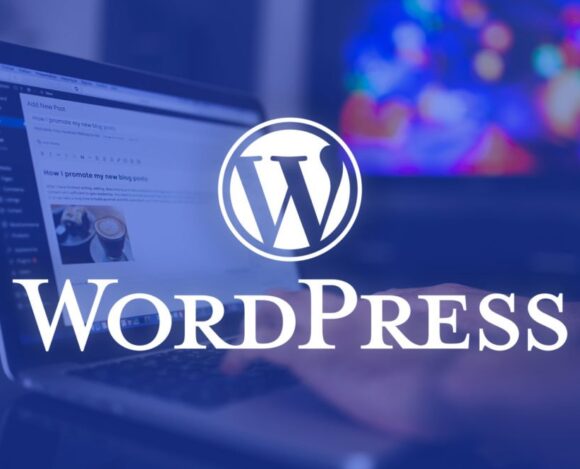 WordPress sitenizde başarılı SEO çalışması…